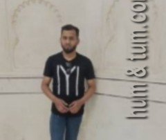 HT240827394