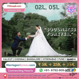 HT241128850